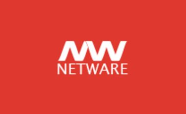 Logo Netware Brasil